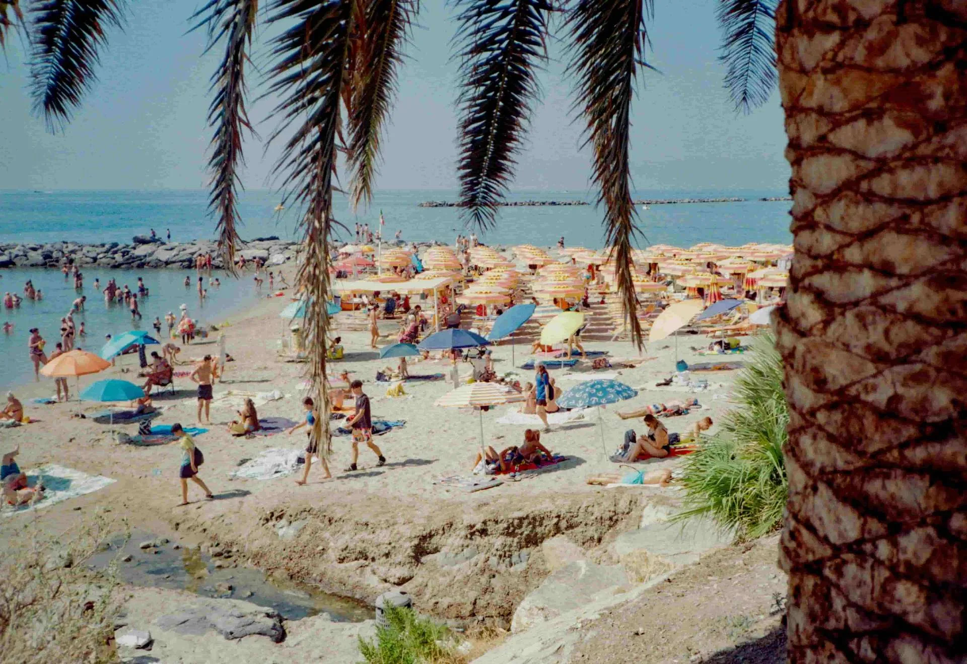 Spanish beach with palm trees - holiday insurance for expats travelling abroad