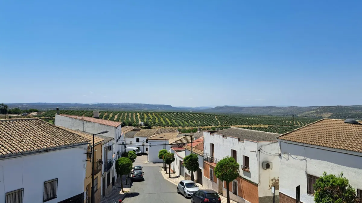 Landlord insurance for rental properties in Spain