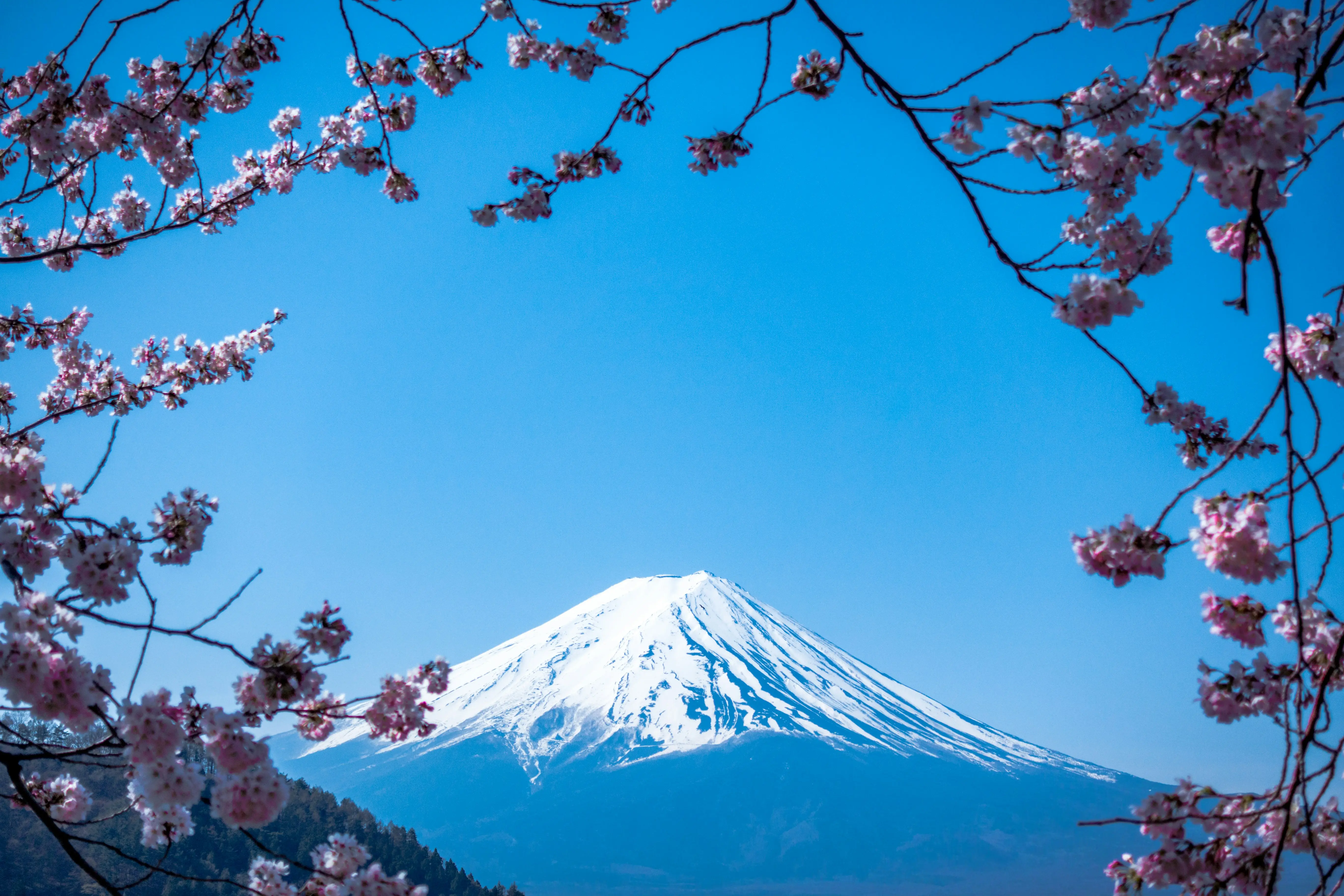 Travel insurance for Japan - guide for expats in Spain 2026