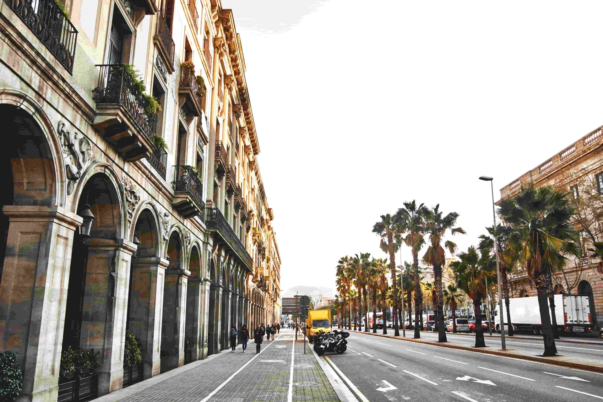 Valencia City of Arts and Sciences and modern architecture